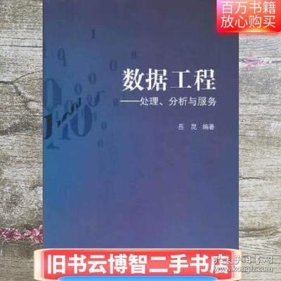 数据工程:处理、分析与服务