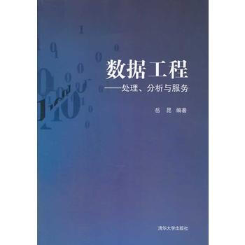 清华教材数据工程--处理、分析与服务 岳昆 9787302339762 清华大学出版社